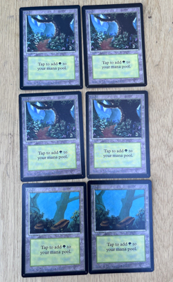 Magic The Gathering Beta Basic Land Forest x6 2 Variants Green Vintage MTG - Image 1
