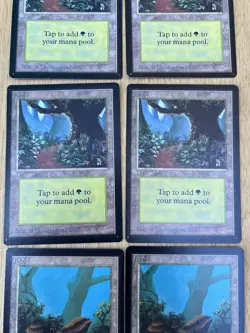 Magic The Gathering Beta Basic Land Forest x6 2 Variants Green Vintage MTG - Image 3
