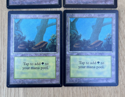 Magic The Gathering Beta Basic Land Forest x6 2 Variants Green Vintage MTG - Image 4