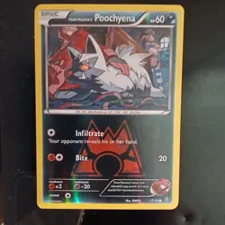 Pokemon TCG Holo EX Lot 6 Black/White Kyurem, Latios, Pidgeot, Misty - Image 4