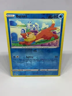 Buizel - Pokemon TCG - Brilliant Stars - Reverse Holo - 038/172 - 🔟 - Image 2