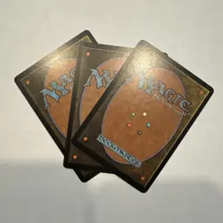 MTG 3x Shepherd of Rot Onslaught Pauper Magic the Gathering Card x3 LP - Image 2