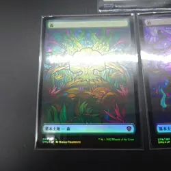 MTG Stained Glass Showcase Full Art Land FOIL Set of 5 Dominaria United Japanese - Image 4