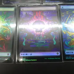 MTG Stained Glass Showcase Full Art Land FOIL Set of 5 Dominaria United Japanese - Image 5