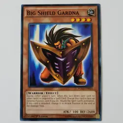 Big Shield Gardna - YGLD-ENB14 - NM/VLP - Common - 1st ed - Yugioh - Image 1