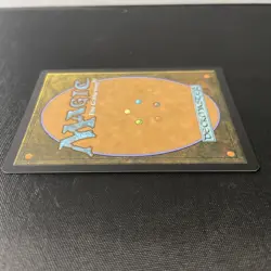MTG Wheel of Sun and Moon (1105/2876) Secret Lair Drop Series LP - Image 3