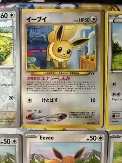 Pokemon TCG - EEVEE Card LOT - ALL NM - Image 4