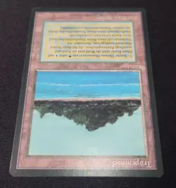 Mtg Tropical Island 3Ed Fbb German - Image 3