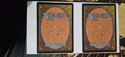 Lotus Field Core Set 2020 Regular 1x - Image 2