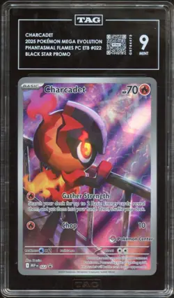 TAG 9 | Charcadet Pokemon Center Promo #022 - Image 1