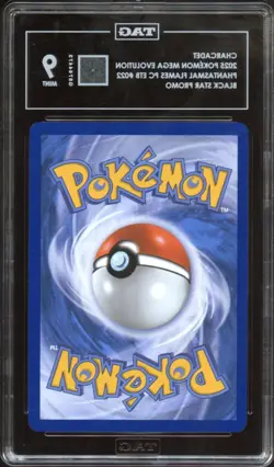 TAG 9 | Charcadet Pokemon Center Promo #022 - Image 2
