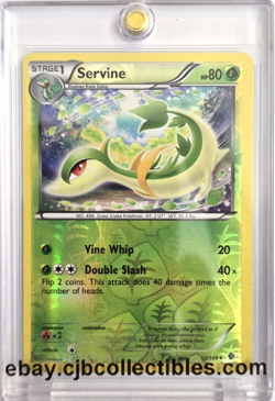 Pokemon SERVINE 12/149 Reverse Holo Boundaries Crossed - Near Mint 🍒 - Image 1