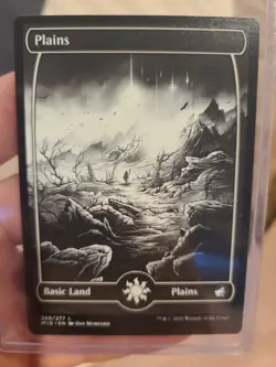 MTG MID: Plains PACK FRESH 269/277 Magic The Gathering FREE SHIPPING - Image 2