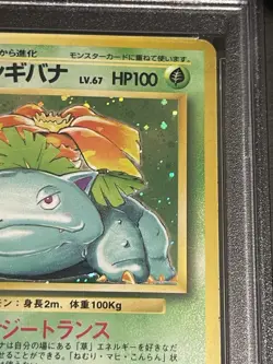 Pokemon Japanese PSA 4 VENUSAUR-HOLO 1996 BASE NO RARITY SYMBOL #68 - Image 4