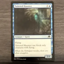 Wizards of the Coast MTG 10-Card Lot Tattered Haunter, Tajuru Blightblade O3 - Image 1