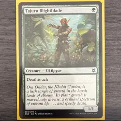 Wizards of the Coast MTG 10-Card Lot Tattered Haunter, Tajuru Blightblade O3 - Image 2
