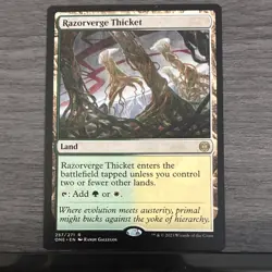 Wizards of the Coast MTG 10-Card Lot Mentor of the Meek, Leonin Arbiter O9 - Image 3