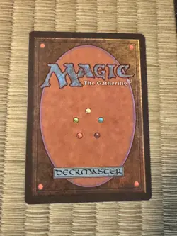 MTG Shield Sphere Alliances Italian Foreign Black Border (Scudosfera) NM - Image 2