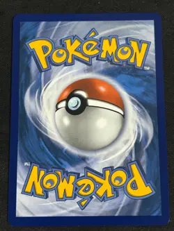 Mega Greninja EX 100/086 Chaos Rising Full Art Pokemon TCG *In Hand* - Image 2