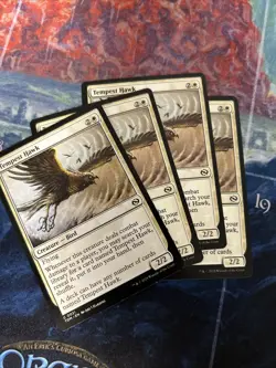 Tempest Hawk x4 Copies Tarkir: Dragonstorm Regular NM-M Magic The Gathering 0031 - Image 1