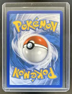 2019-2023 Pokemon SWSH Black Star Promos Lucario VST #SWSH291 - Image 2