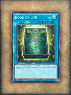 Yugioh Book of Life SR07-EN027 Common 1st Ed LP - Image 1