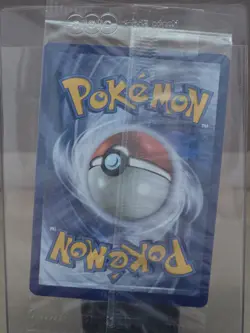 2019-22 Pokemon Sword and Shield Black Star Promo #SWSH144 Greninja Star SEALED - Image 4