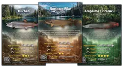 LakeFinity: Freshwater Fish Card Game [Starter Pack] | Fischkartenspiel - Image 4