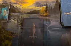 LakeFinity: Freshwater Fish Card Game [Starter Pack] | Fischkartenspiel - Image 5