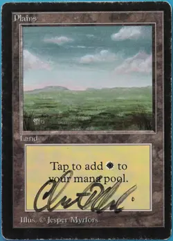 Plains (C Dark) Beta VHP/DAMAGED Basic Land MTG CARD (ID# 518456) ABUGames - Image 1