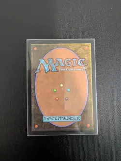 MTG Fierce Guardianship - Image 2