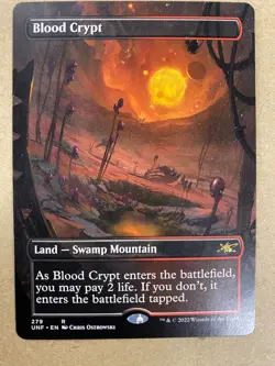 MTG 1x BORDERLESS Blood Crypt # 279 Unfinity Magic the Gathering Card x1 NM - Image 1