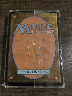 MTG Zendikar 2009 Full Art Basic Land Pack 40ct New Sealed Magic The Gathering - Image 3