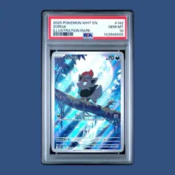 Pokemon TCG Zorua 142/086 Sv11w: White Flare Illustration Rare Card PSA 10 - Image 1
