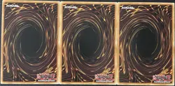 Harpie Conductor LDS2-EN078 Legendary Duelists (x3) Yugioh - Image 2