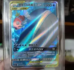 Pokemon TCG S-Chinese Card Sun&Moon CSM2aC-160 Magikarp & Wailord-GX SR Ultra - Image 1
