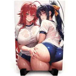High School DxD Akeno Himejima Rias Gremory Sexy Anime Waifu Goddess Story Card - Image 1
