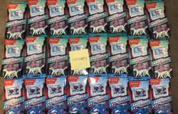 x24 Pokemon Knockout Collection Kyogre And Suicune Sealed Packages - Image 1