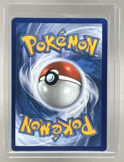 Shuckle 2025 Pokemon Mega Evolution #136 Illustration Rare - Image 2