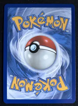 Pokemon TCG: First Partner: Mega MEP 042: Piplup Black Star Promo (NM) - Image 2