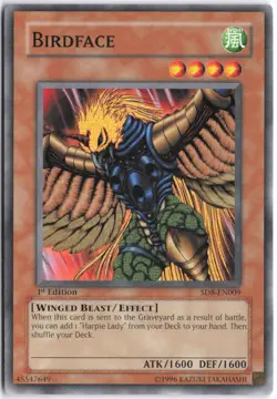 Yugioh - Birdface SD8-EN009 1st Edition - Structure Deck: Lord of the Storm - Image 1