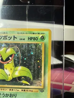 The Pokemon Company Victreebel Jungle No.071 Holo Rare Stage 2 80 HP Japanese - Image 2