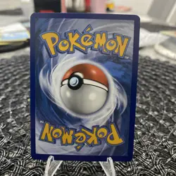 Phanpy & Teddiursa~Cute Cameo Gallery | Hidden Pokemon in Card Art - Image 2