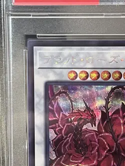 PSA 10 GEM MINT Ruddy Rose Dragon Yu-Gi-Oh! LIOV-JP035 Secret Rare Japanese - Image 2