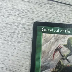 MTG Survival of the Fittest Exodus Rare Enchantment Vintage Magic Card LP - Image 4