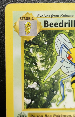 1st Edition Beedrill - 017/102 Base Set - Shadowless - 1999 WOTC Pokemon - Image 2