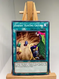 Harpie's Hunting Ground - 1st Edition LDS2-EN081 - NM - YuGiOh - Image 1