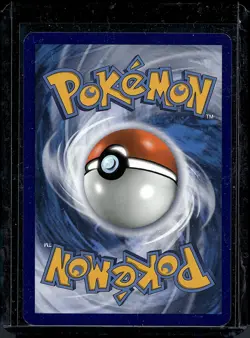 Pokemon Eevee SWSH118 Sword Shield Promo NM Black Star Promo Card - Image 2