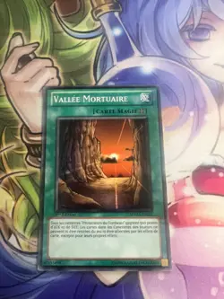 NECROVALLEY COMMON FRENCH SDMA-EN025 FR025 NEAR MINT YUGIOH - Image 1