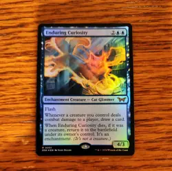 MTG Enduring Curiosity (51/499) Duskmourn House of Horror NM FOIL - Image 1
